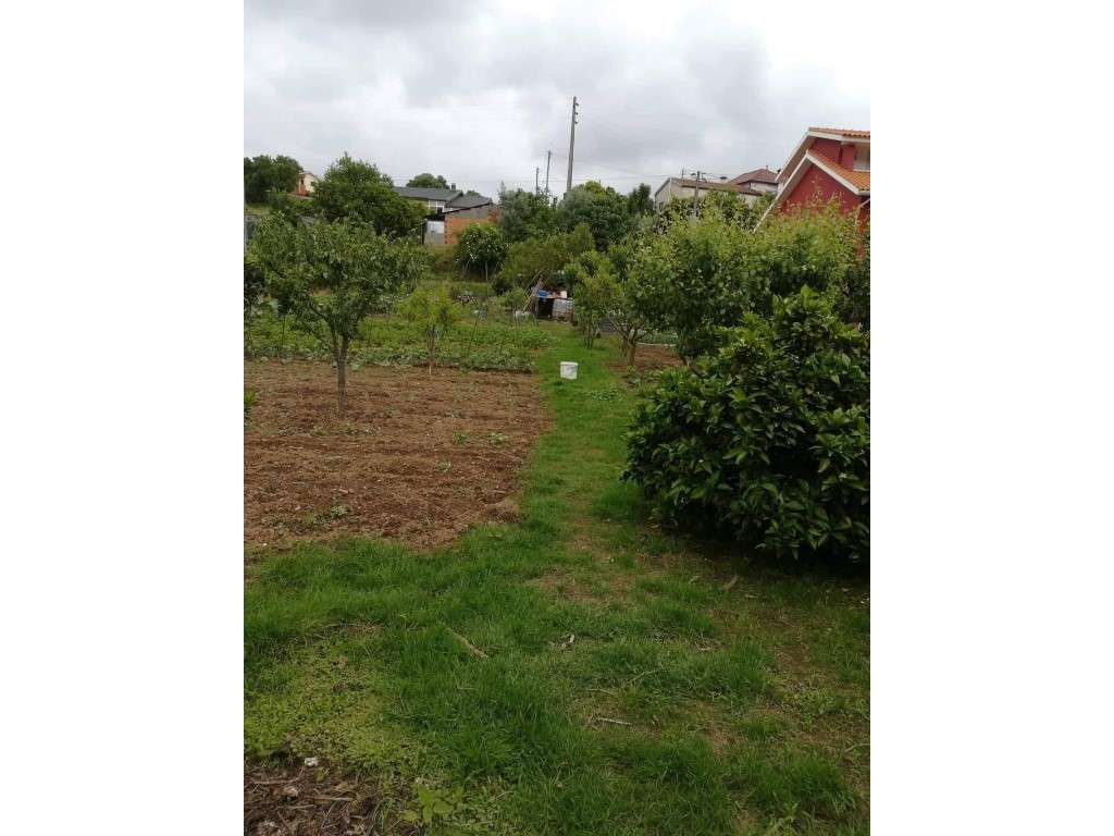 Terreno para construção na Borralha (Concelho de Águeda - Distrito ... - Grande imagem: 2/4