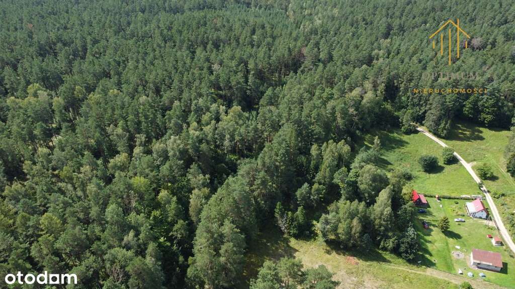 Cisza, jezioro, las – działka marzeń w Dłużku - Pełny obrazek: 5/8