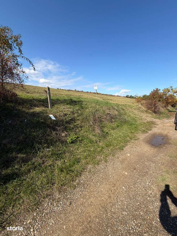 Vand teren Pentru Investitit Hemeiusi - Sat Fantanele - Imagine principală: 5/15