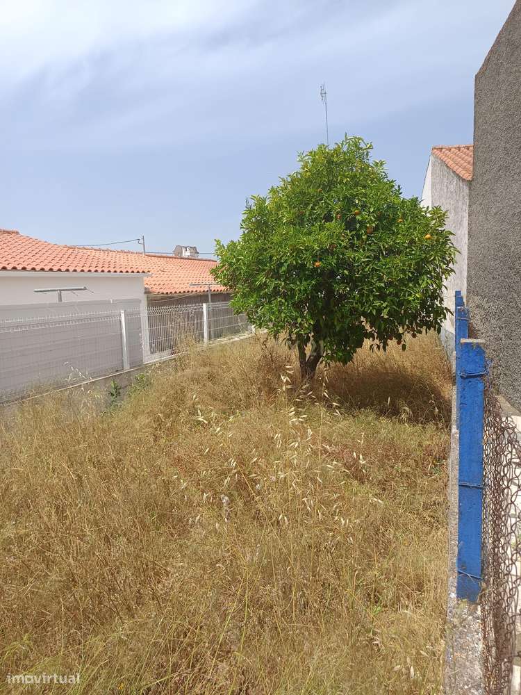 Oportunidade Única a 75.000€ - Grande imagem: 4/10