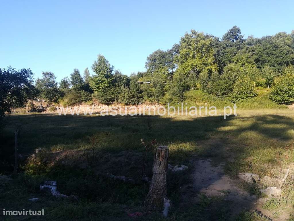 Terreno Agrícola - Caldelas - Grande imagem: 4/4