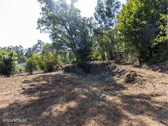 Terrenos - Vila Verde-6