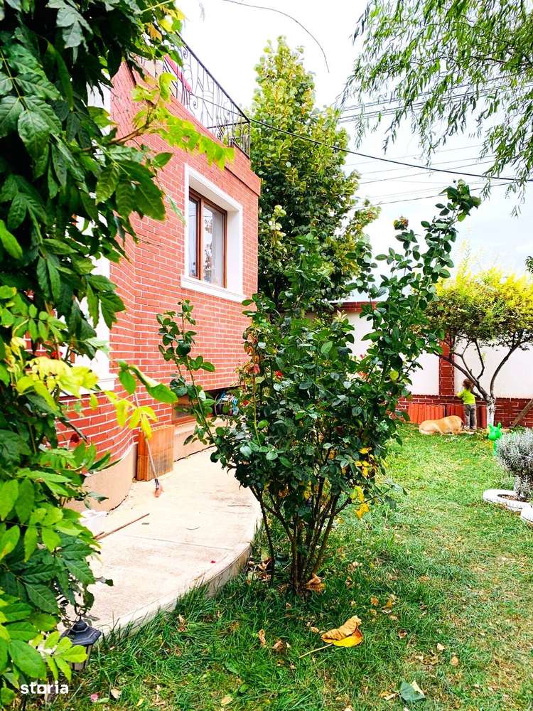 Vila ta de vis te așteaptă!-3