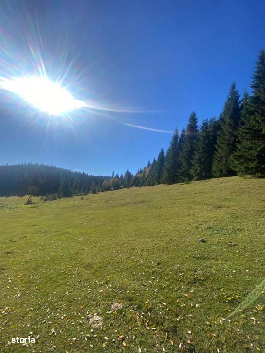 Teren extravilan la Poiana Horea - Belis - 16.000 mp-1