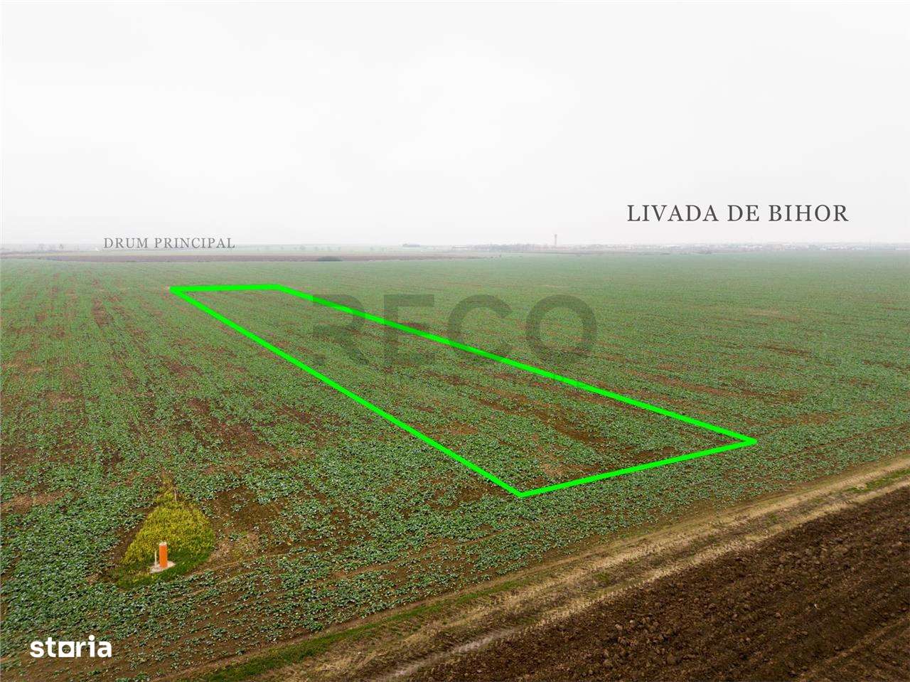 RECO Teren extravilan 5800 mp Livada de Bihor - Imagine principală: 4/11