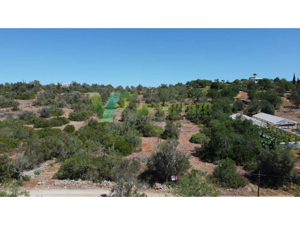 Terreno Rustico, Zona de Bonitos, São Bartolomeu Messines - Grande imagem: 4/9