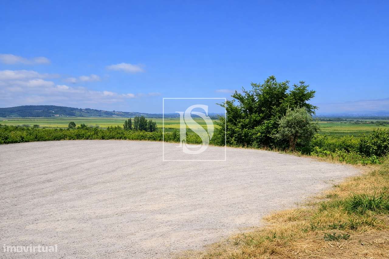 Terreno Para Construção  Venda em Alqueidão,Figueira da Foz-18