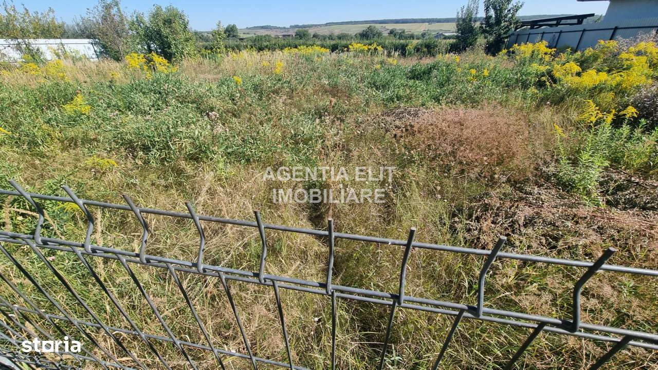 teren, zona Tulbureni, intravilan - Imagine principală: 2/6
