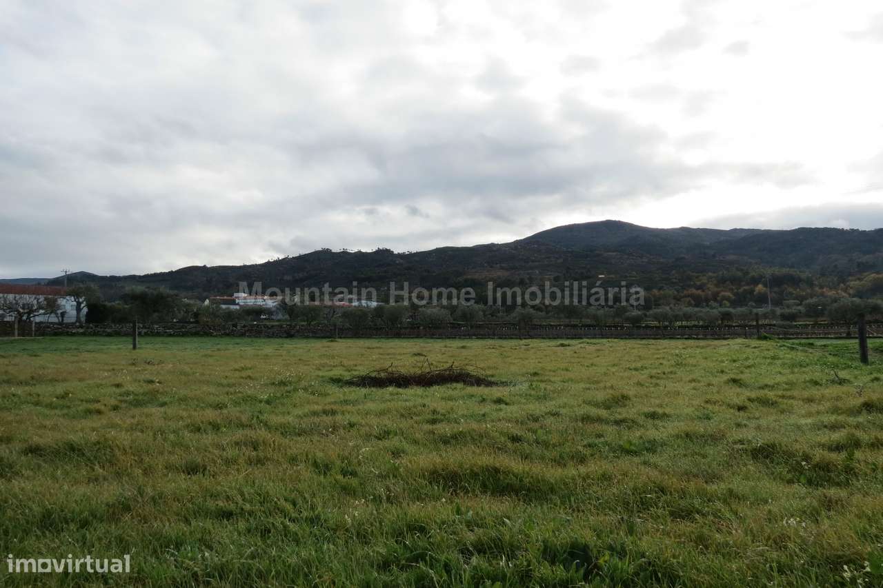 Terreno Para Construção  Venda em Santa Marinha e São Martinho,Seia - Grande imagem: 4/5