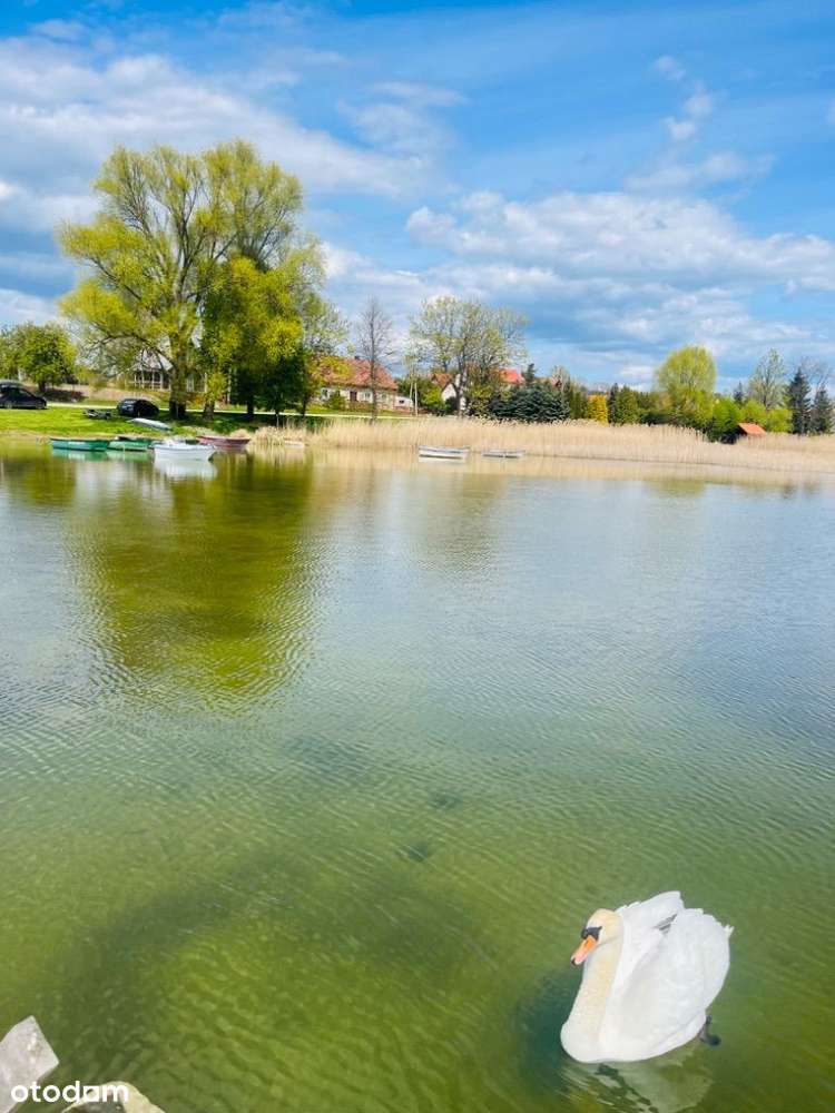 dział budowlana 1529m2 bliźniak 2x350m2+ /DZIAŁKA NA SZLAKU!MPZP HIT - Pełny obrazek: 4/17