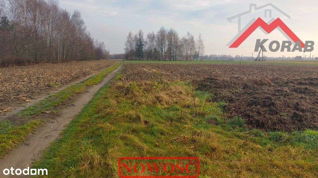 wydane prawomocne Wz-1