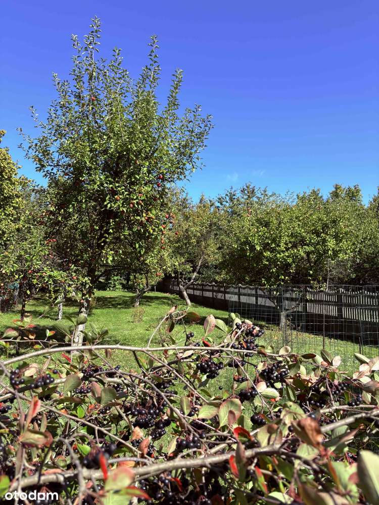 [REZERWACJA] Dom,działka 1900 m²|2 Garaże|Fotowoltaika, Klimatyzacja|-13