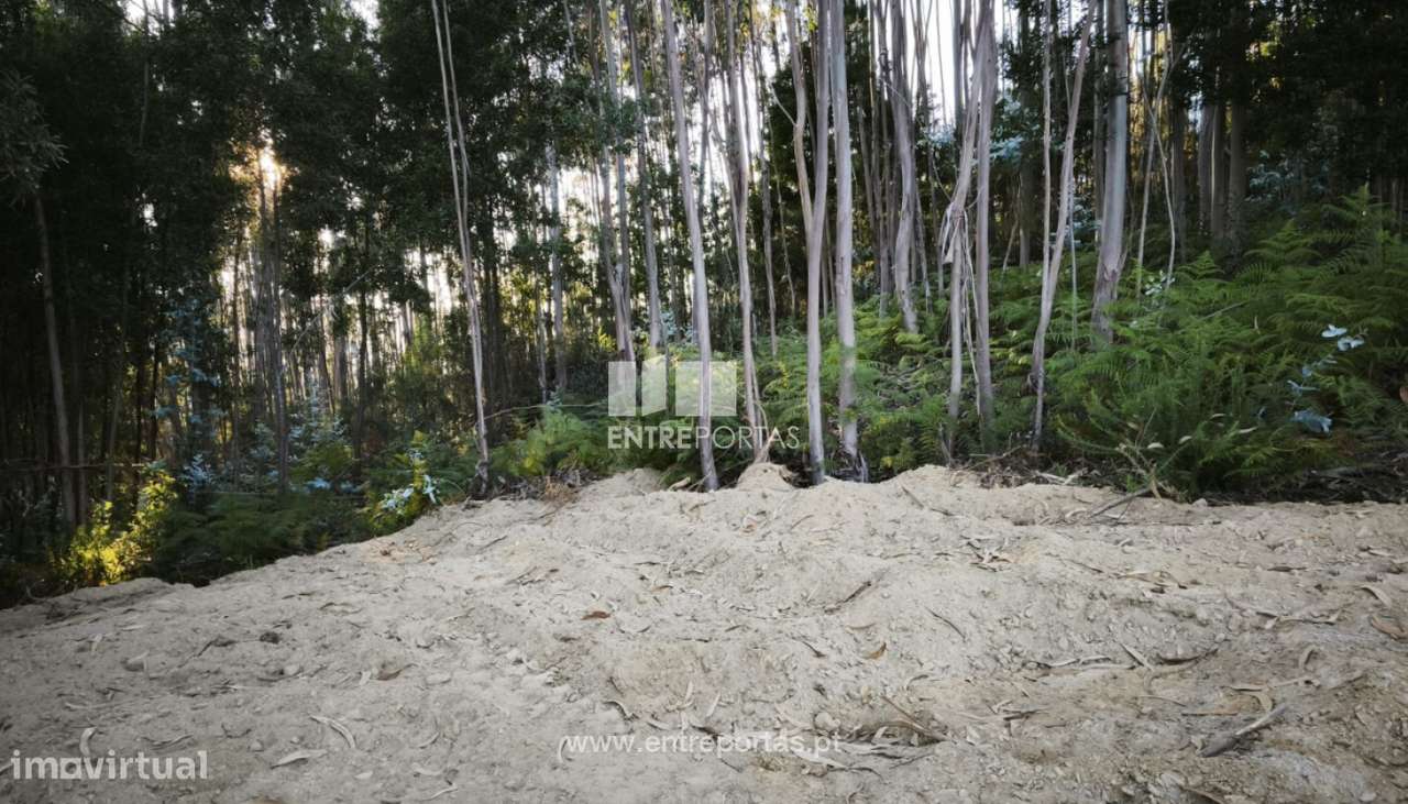 Venda de Terreno para construção, Meixedo, Viana do Castelo - Grande imagem: 3/18
