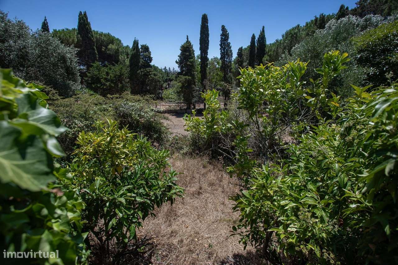 Charmosa Moradia T3 Térrea num lote de 938m2 para Remodelar na Aldeia-12