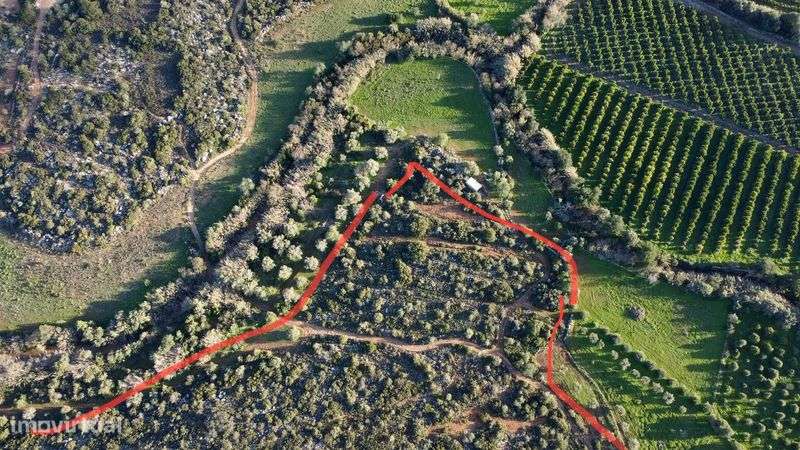 Terreno Rustico Algarve 19500m2 - Grande imagem: 4/11