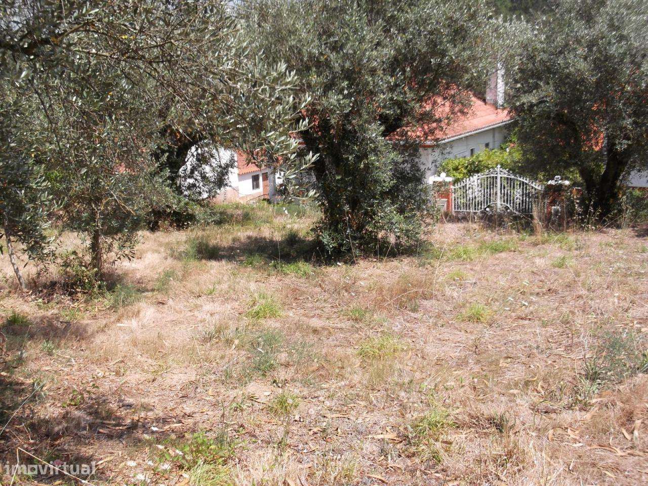 Terreno com 2056 m2 - Grande imagem: 1/4