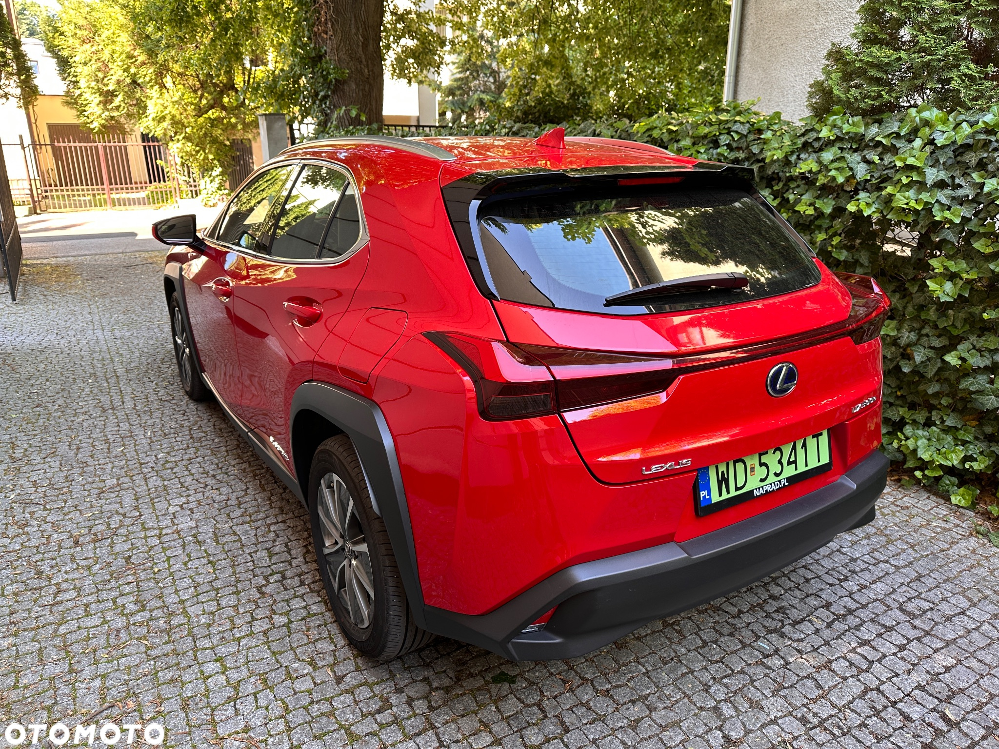 Lexus UX 300e 54.3 kWh Business Edition 2WD - 7