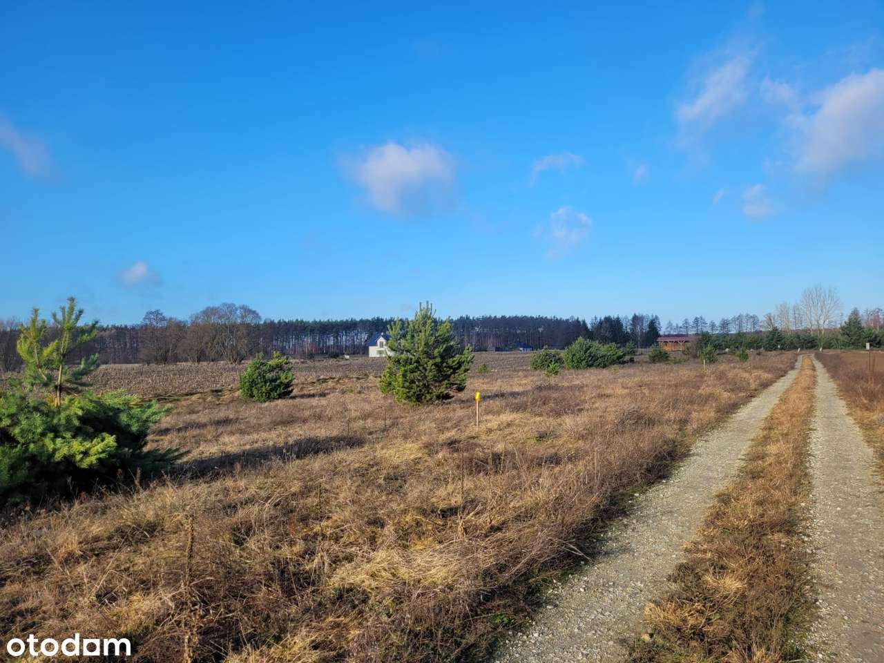 GOŁĄBKI na sprzeedaż działka budowlana 950m2-2