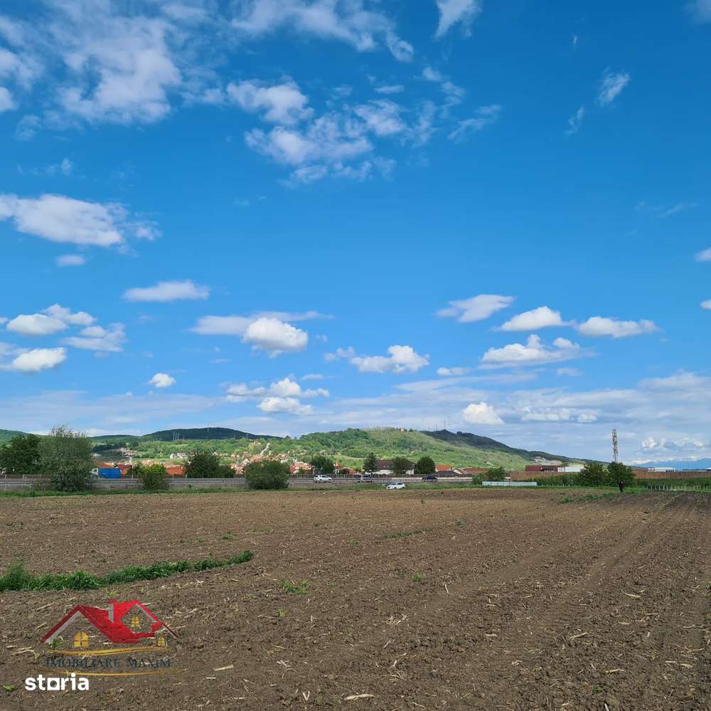 Imobiliare Maxim  teren extravilan Gușterița-5