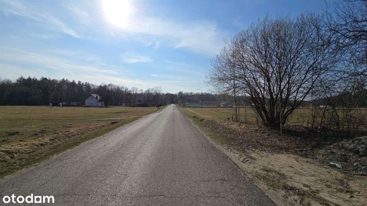 Urokliwa okolica czysty leśny klimat blisko miasta-15