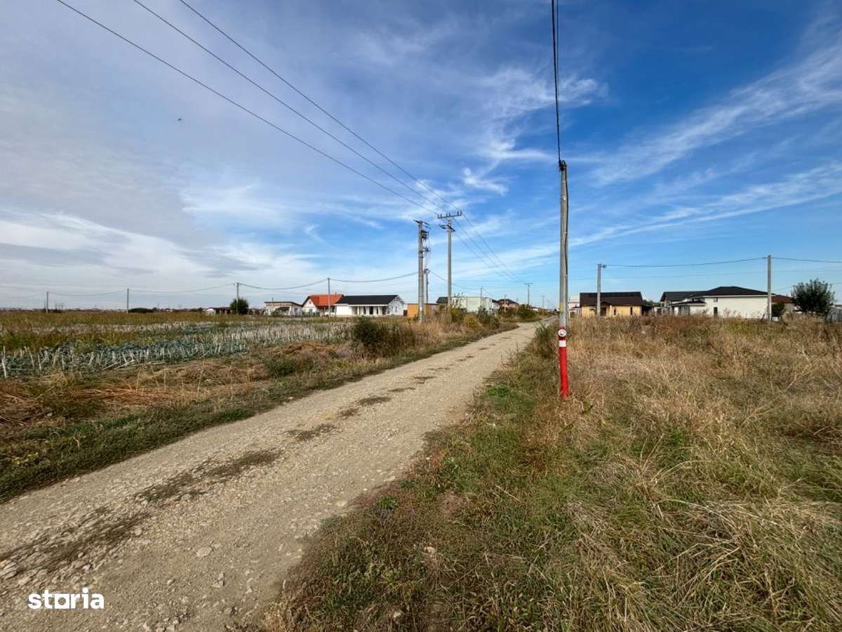 Teren de Vânzare Cartier Nou Vladimirescu 3,5 Ha - Imagine principală: 4/8