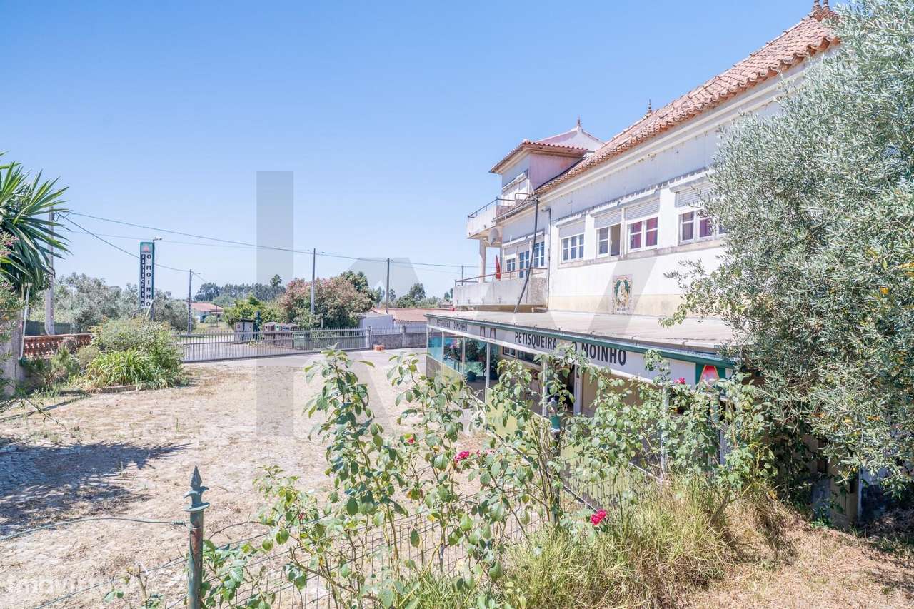Quinta com 14.920m2 com Moradia T6 e Café em Tomar-42