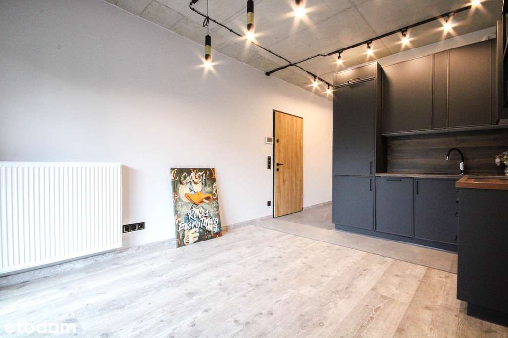 Wynajem - mieszkanie na parterze przy Parku - Pełny obrazek: 3/14