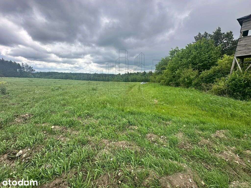 Podzamcze-działki w sąsiedztwie Zamku Ogrodzieniec-11