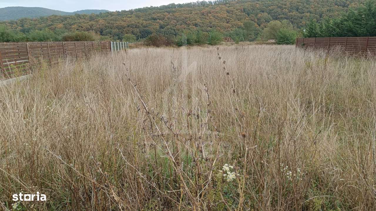 Teren de vânzare în Tălmaciu – zonă liniștită, cu priveliște spre munț - Imagine principală: 5/6