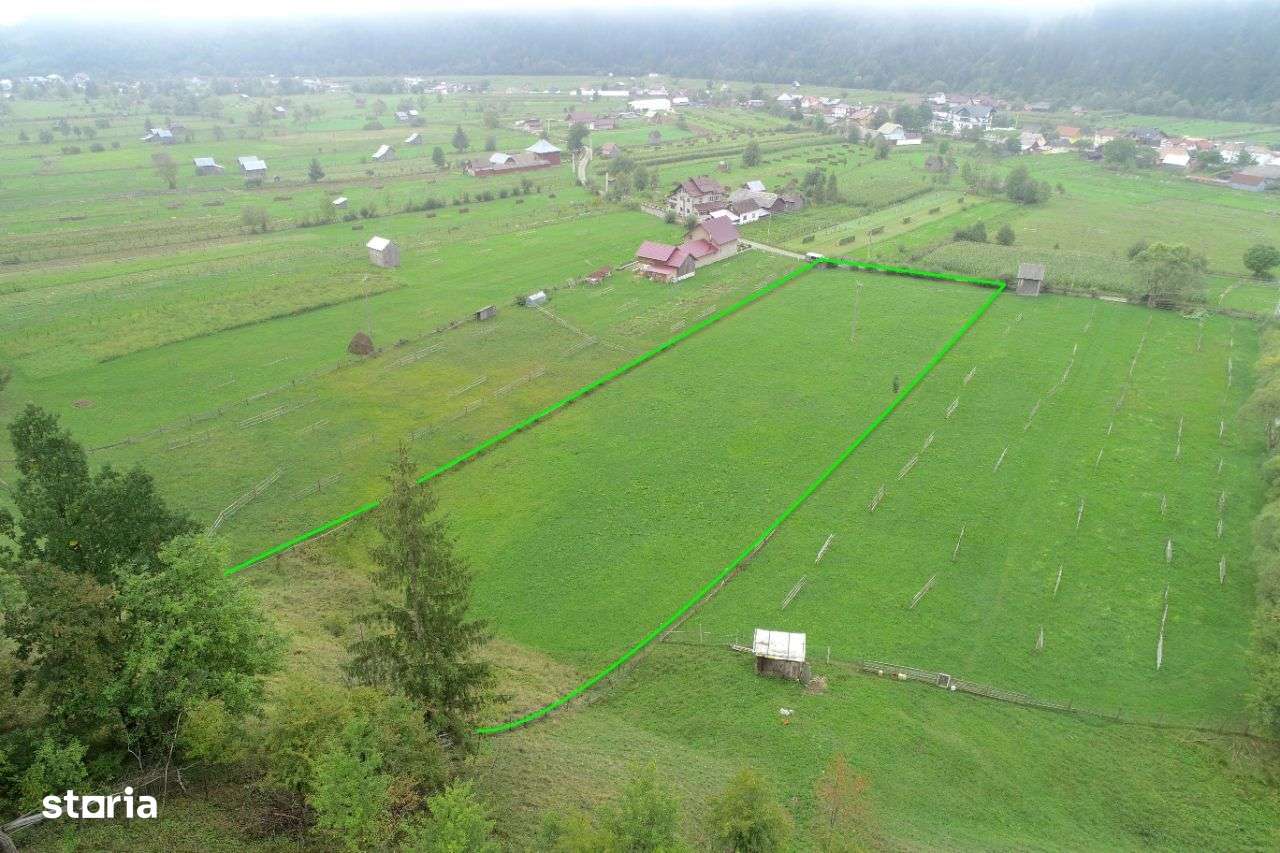 Teren frumos, zonă liniștită, 6721 mp intravilan/extravilan - Imagine principală: 4/8