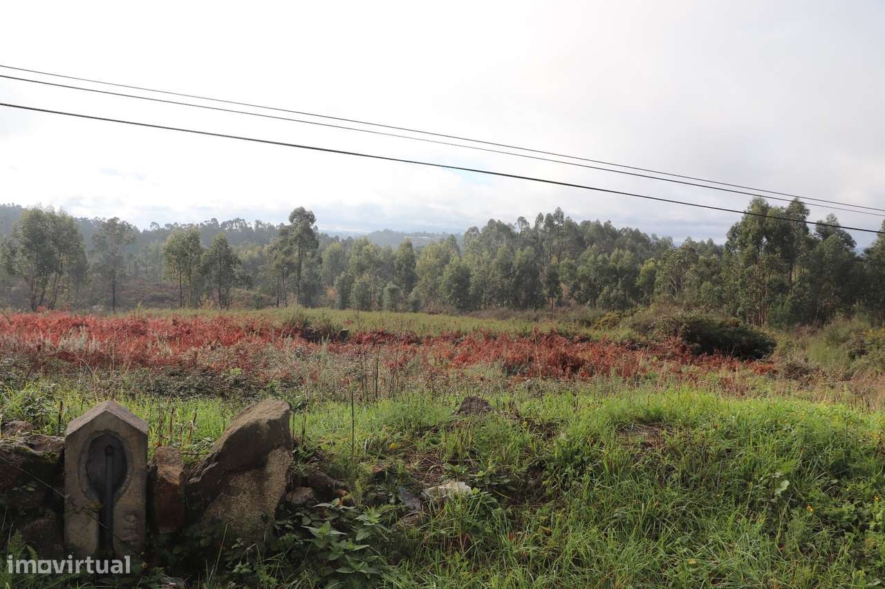 Lote de Terreno  Venda em Lustosa e Barrosas (Santo Estêvão),Lousada - Grande imagem: 3/8