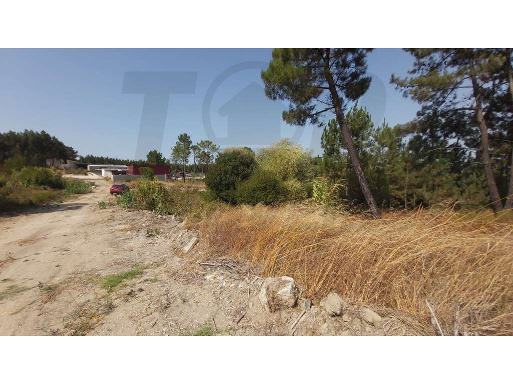 Terreno rústico com 7.600m2 - Pontével - 50.000€ - Grande imagem: 4/9