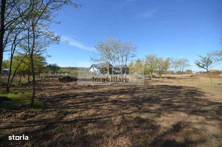 Snagov Ciofliceni Mânastire- Teren 1432 mp, d 60 m, curent gaze asfalt-8