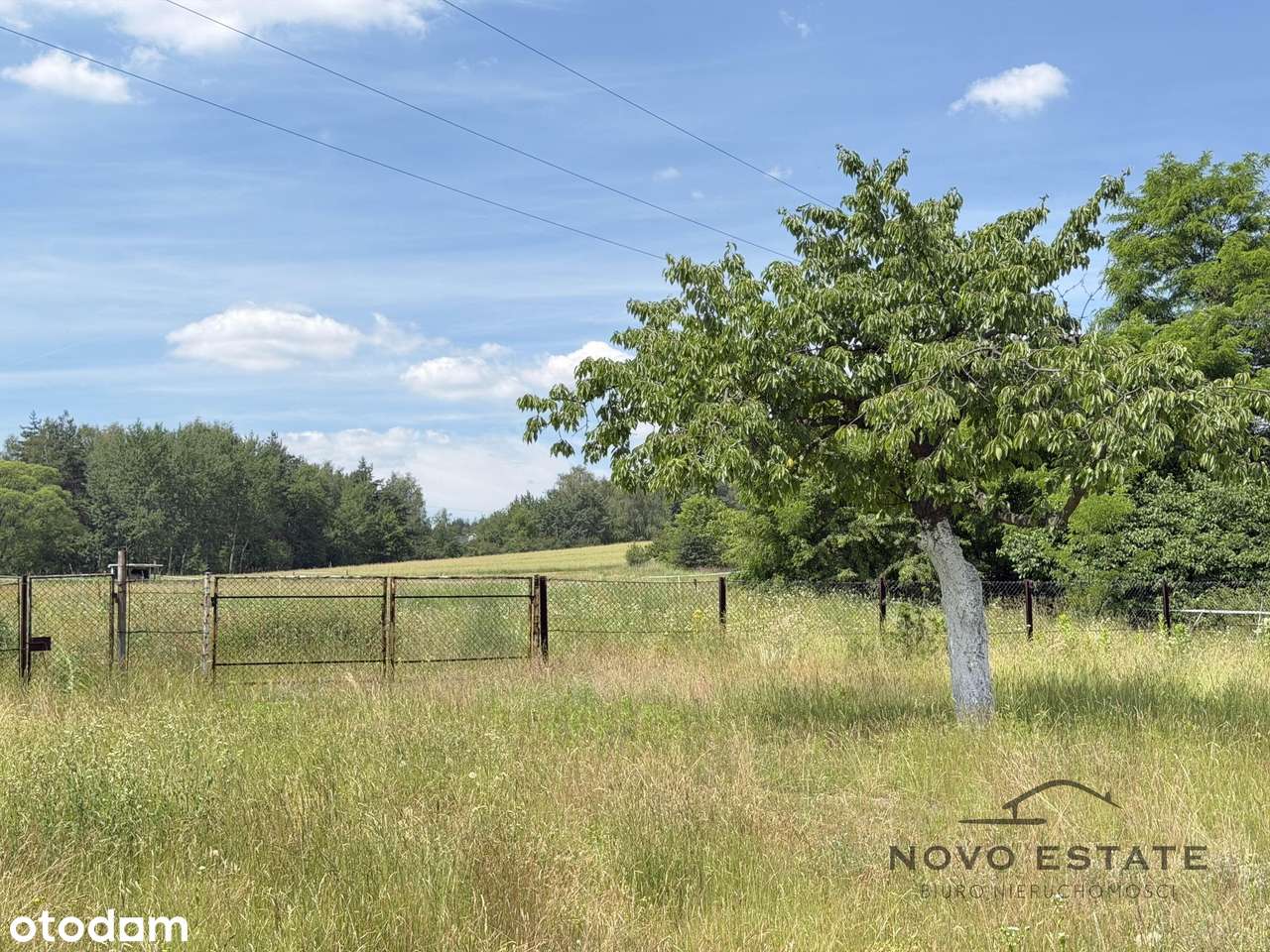 Dom 180 m²| duża działka 3058 m² | 6 pokoi | dwurodzinny | Dziećkowice-16