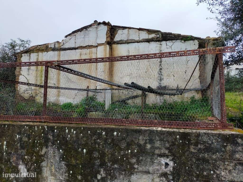 QUINTA COM 5HA DE TERRENO COM 500M2 URBANO - GALVEIAS - PONTE DE SOR-13