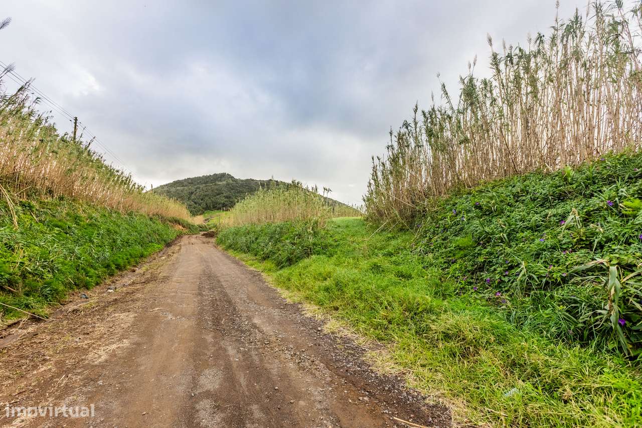 Terreno Rústico com vista mar - Grande imagem: 4/8