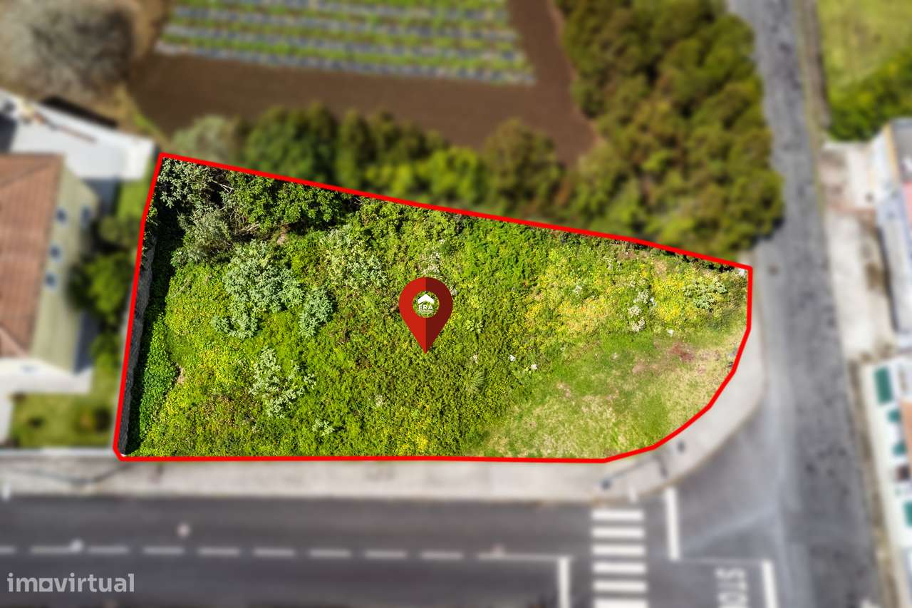 Lote para Construção - Rosto do Cão - Grande imagem: 5/7