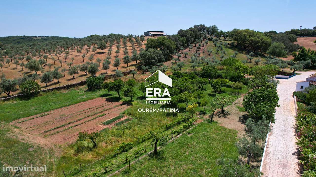 Quinta com Moradia T3, Vila Viçosa-26