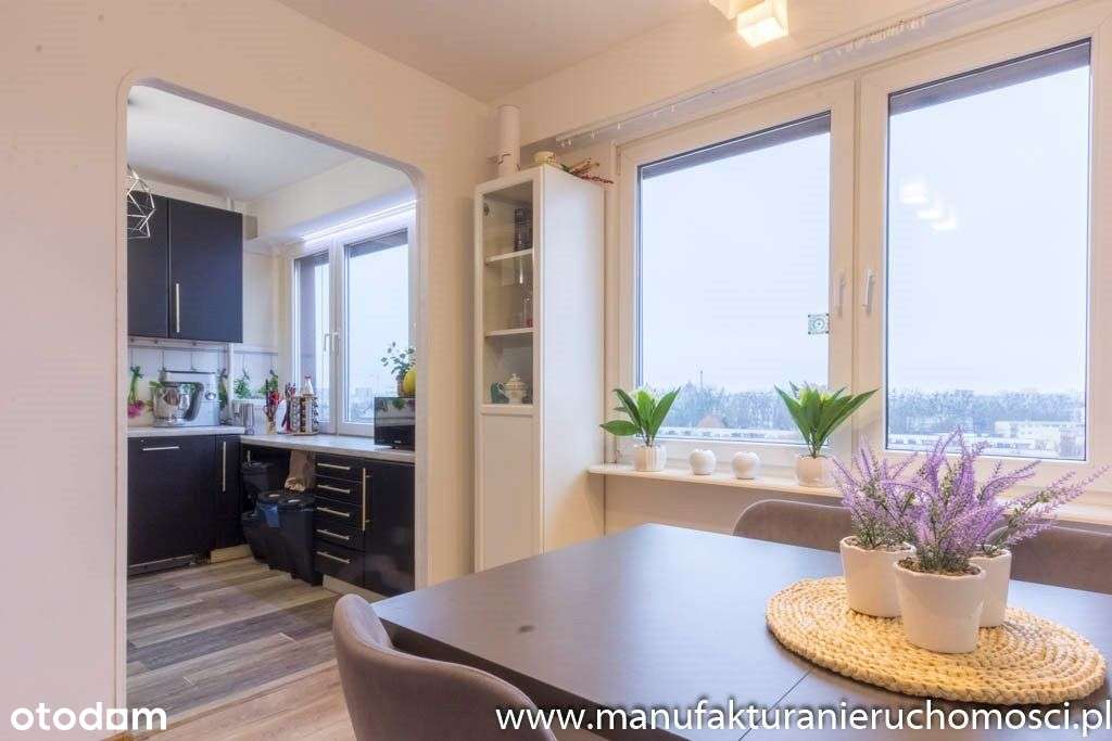 * 3 oddzielne pokoje *kuchnia z jadalnią* Antoniuk-9