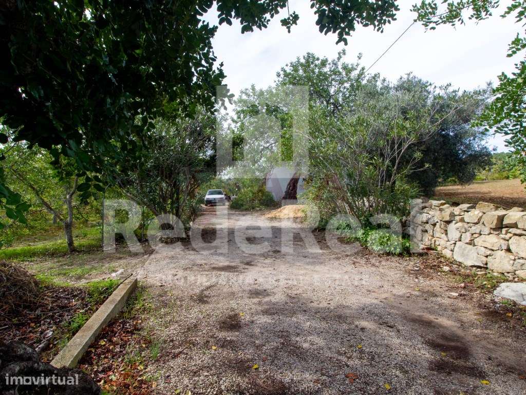 Moradia com 1. 556 hectares com furo e água da rede-24