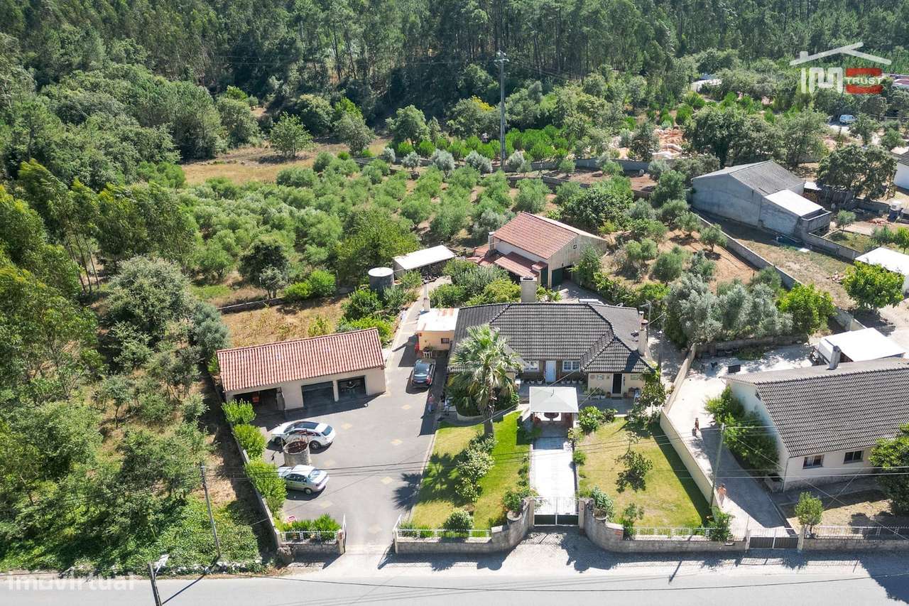 MORADIA T3 COM RES DO CHÃO E CAVE EM MOITA DO MARTINHO SÃO MAMEDE - Grande imagem: 5/40