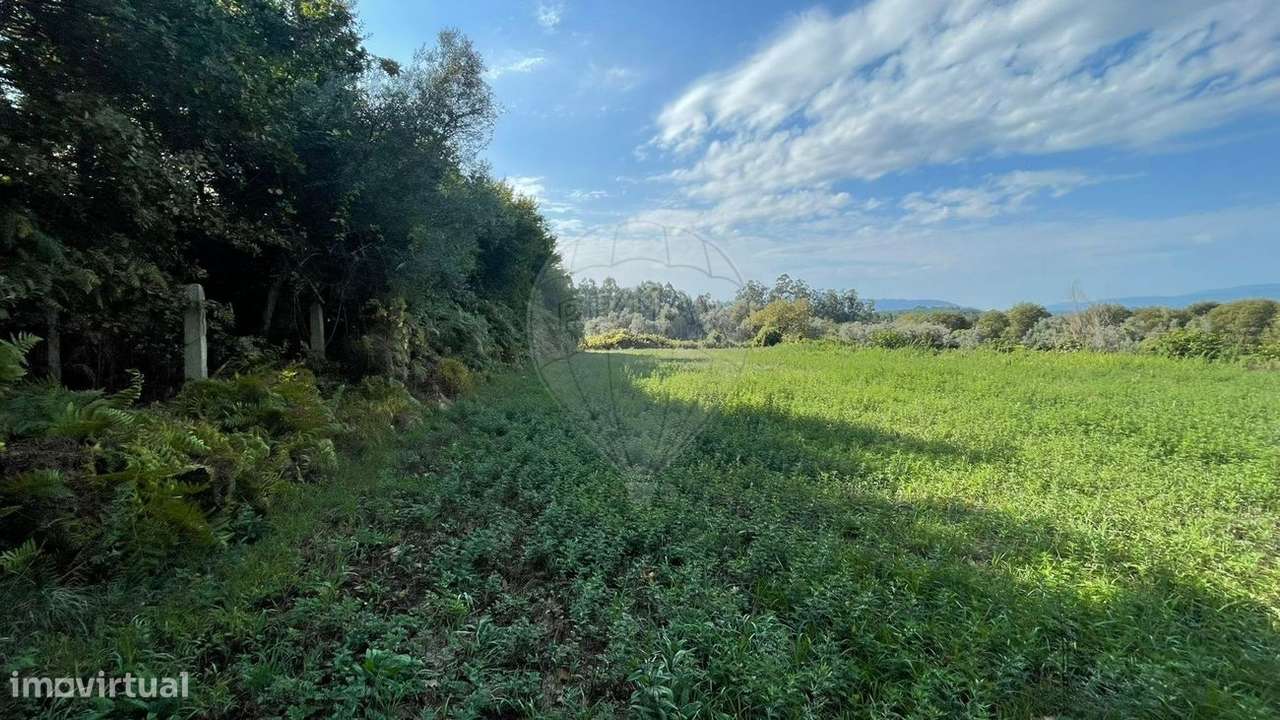 Terreno  para venda - Grande imagem: 4/8