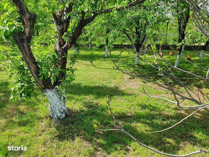 Teren Intravilan - Imagine principală: 5/5