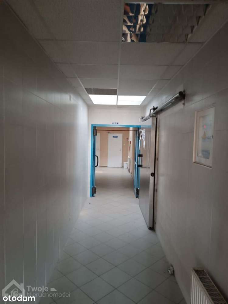 Kompleks magazynowo-biurowy z dużą działką-12