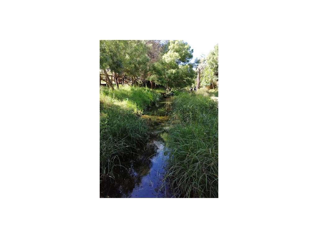 Moradia V4 Cascais NOVO-34