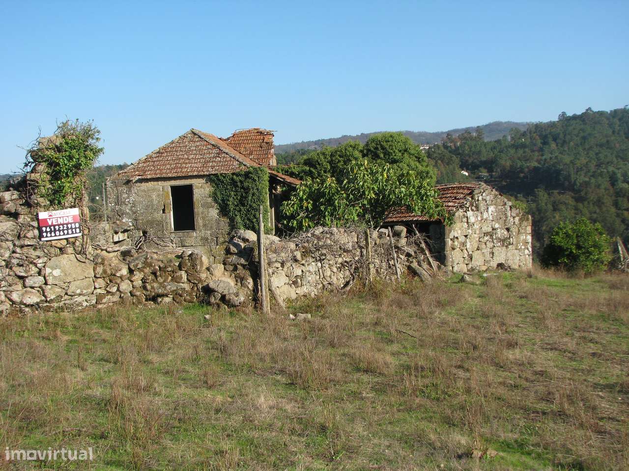 Quinta com casa em ruínas-15