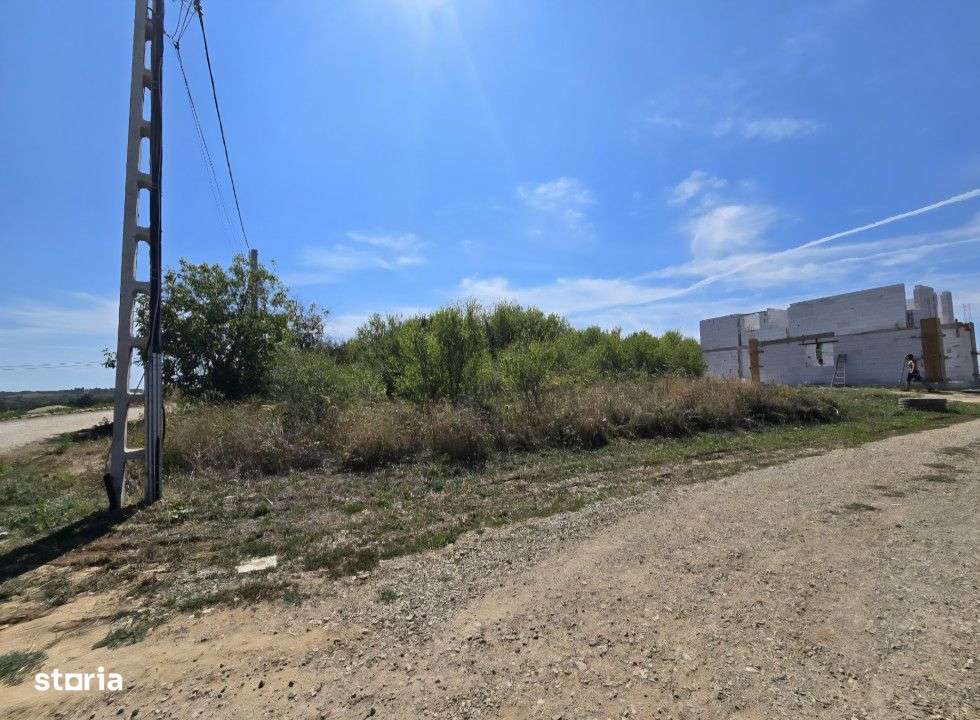 Teren Paleu Intravilan - Imagine principală: 5/6