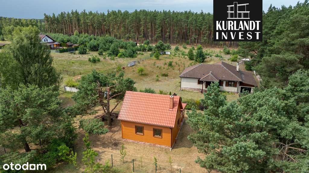 Leśna oaza 230 m od jeziora – Płazowo, Bory - Pełny obrazek: 4/19