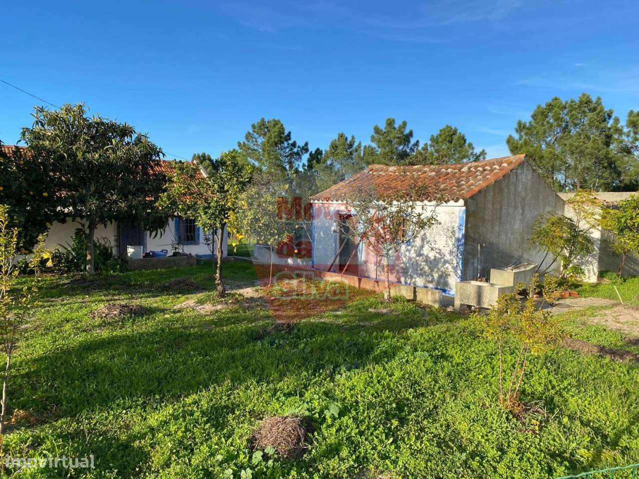 Quinta em Vale Figueira Melides-5