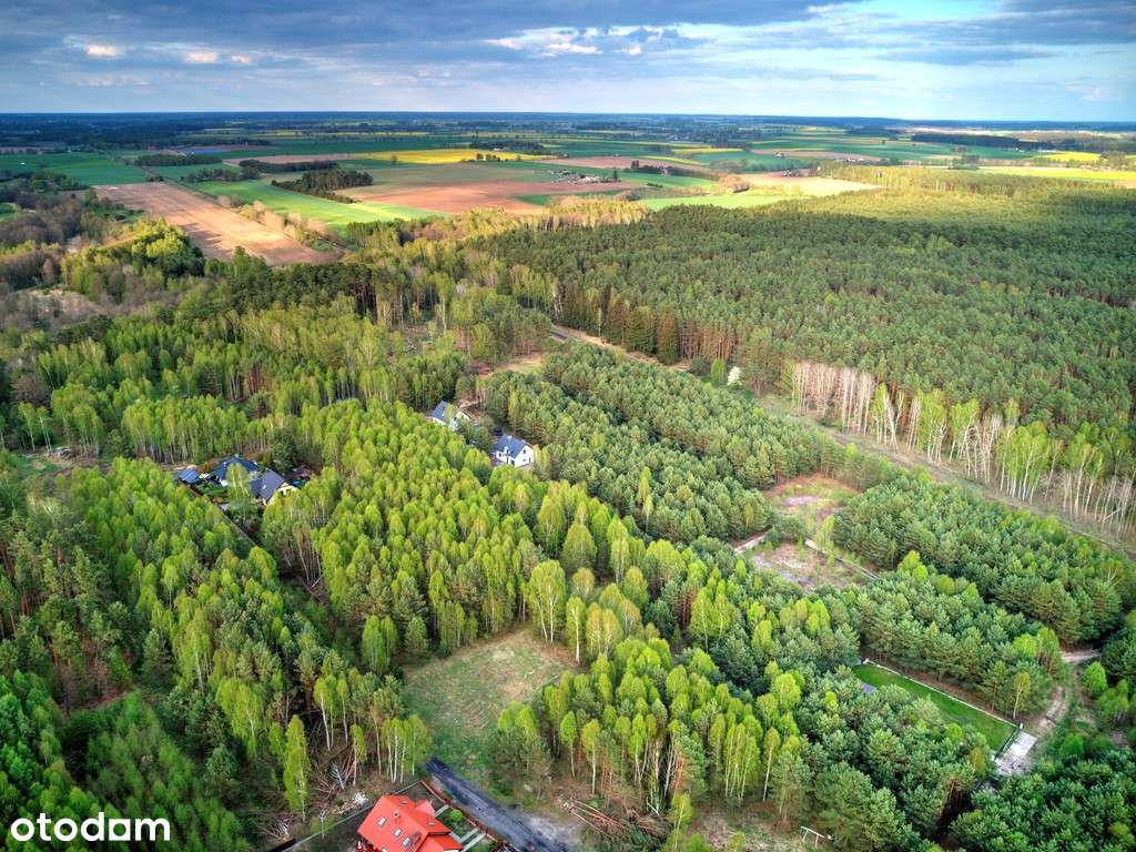 Na sprzedaż działki, Skórka, tereny mieszkaniowe, - Pełny obrazek: 5/10